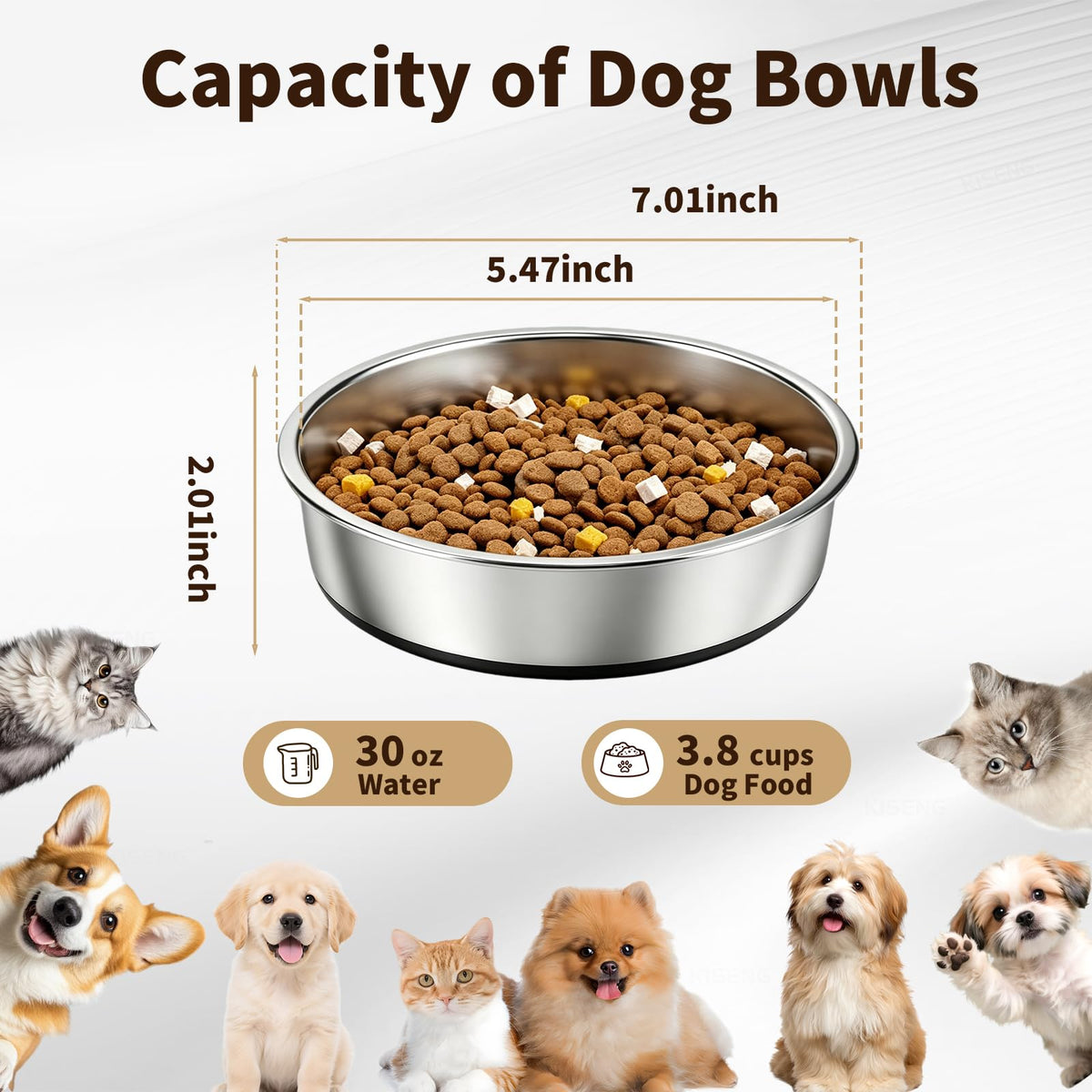 Stainless Steel Non-Slip Dog Bowls