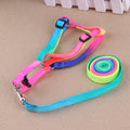 Colorful Nylon Chest Leash