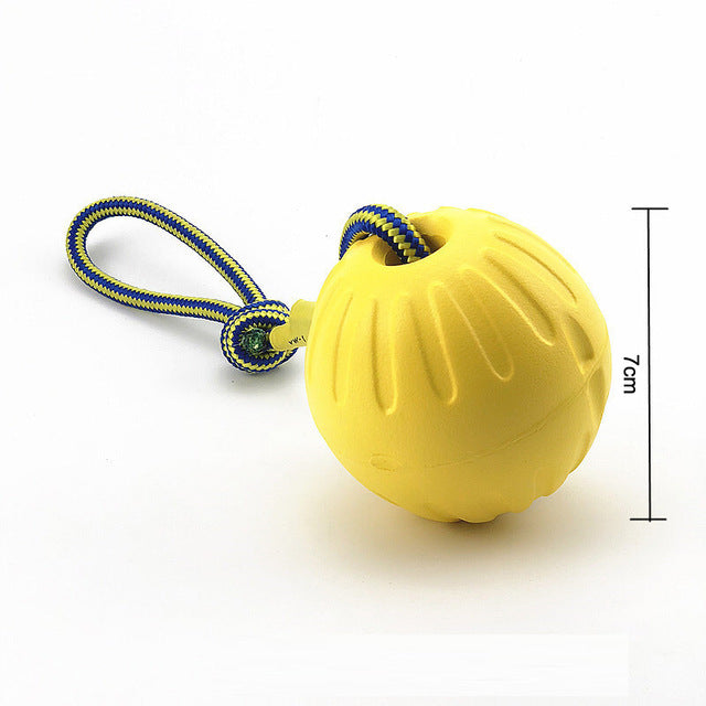 EVA Pet Training Toy
