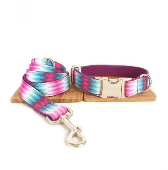Pattern Dog Collar Color Ribbon Traction Set