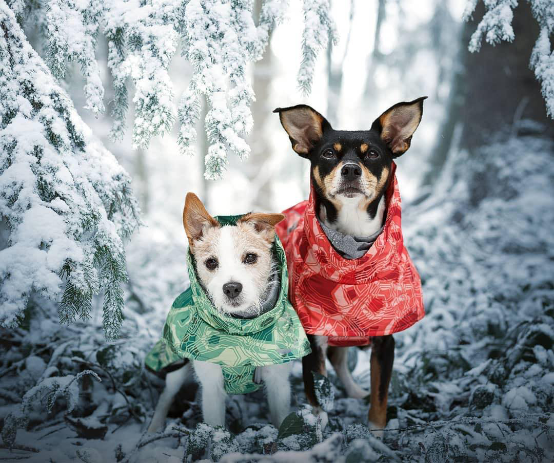 Quilted Waterproof Large Dog Coat