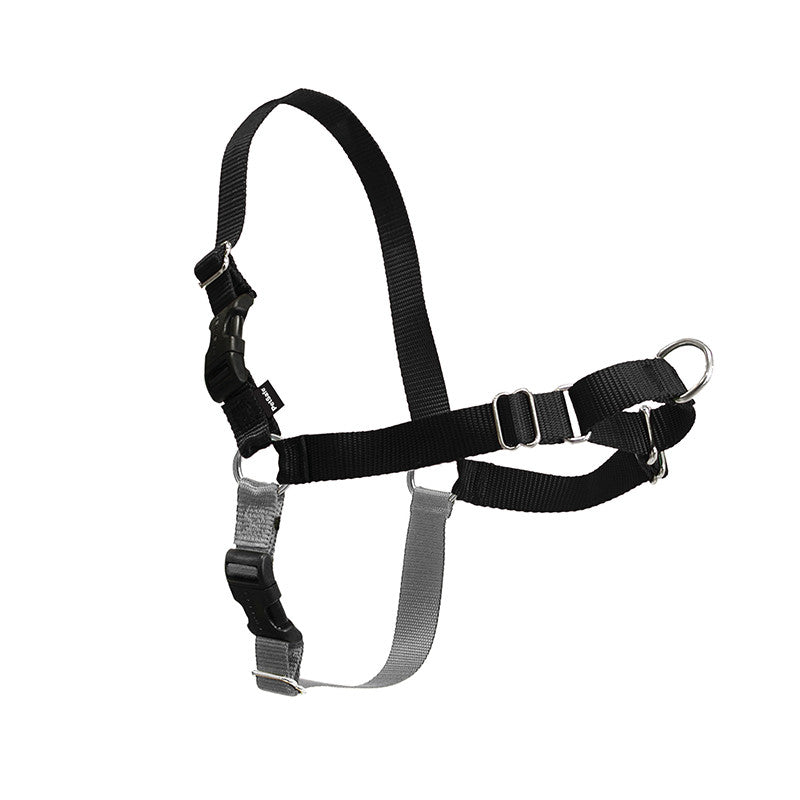Dog Walking Collar