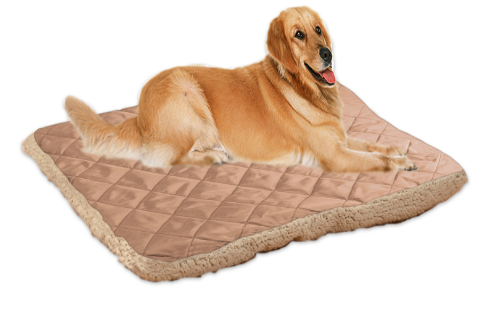 Pet Ice Silk Cushion