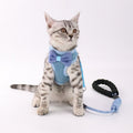 Pet Chest And Back Leash
