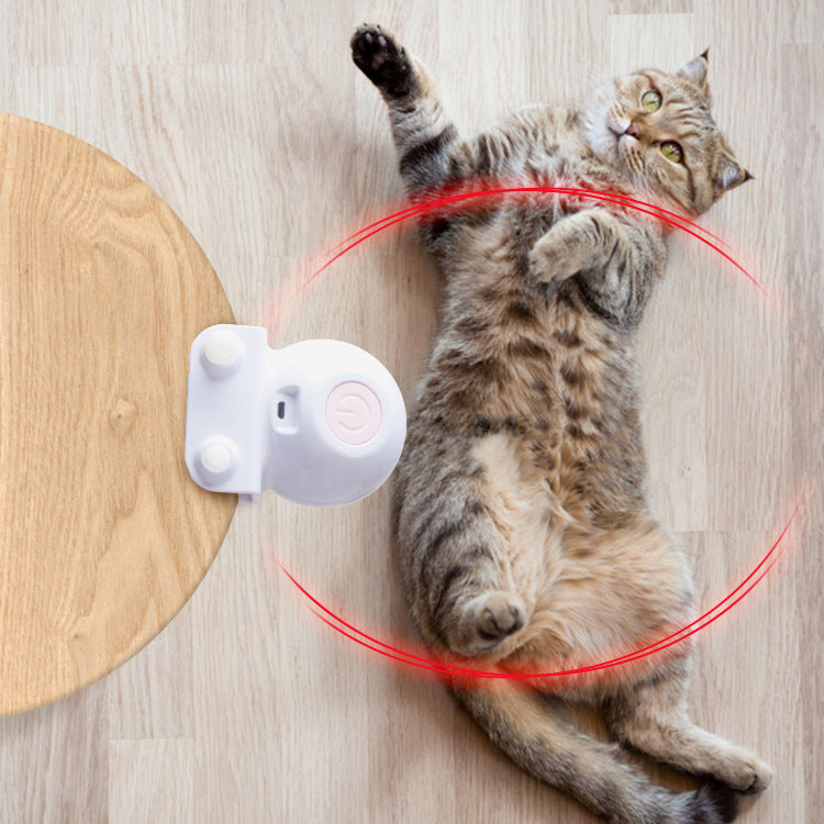 Pet Toy Ball