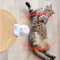 Pet Toy Ball