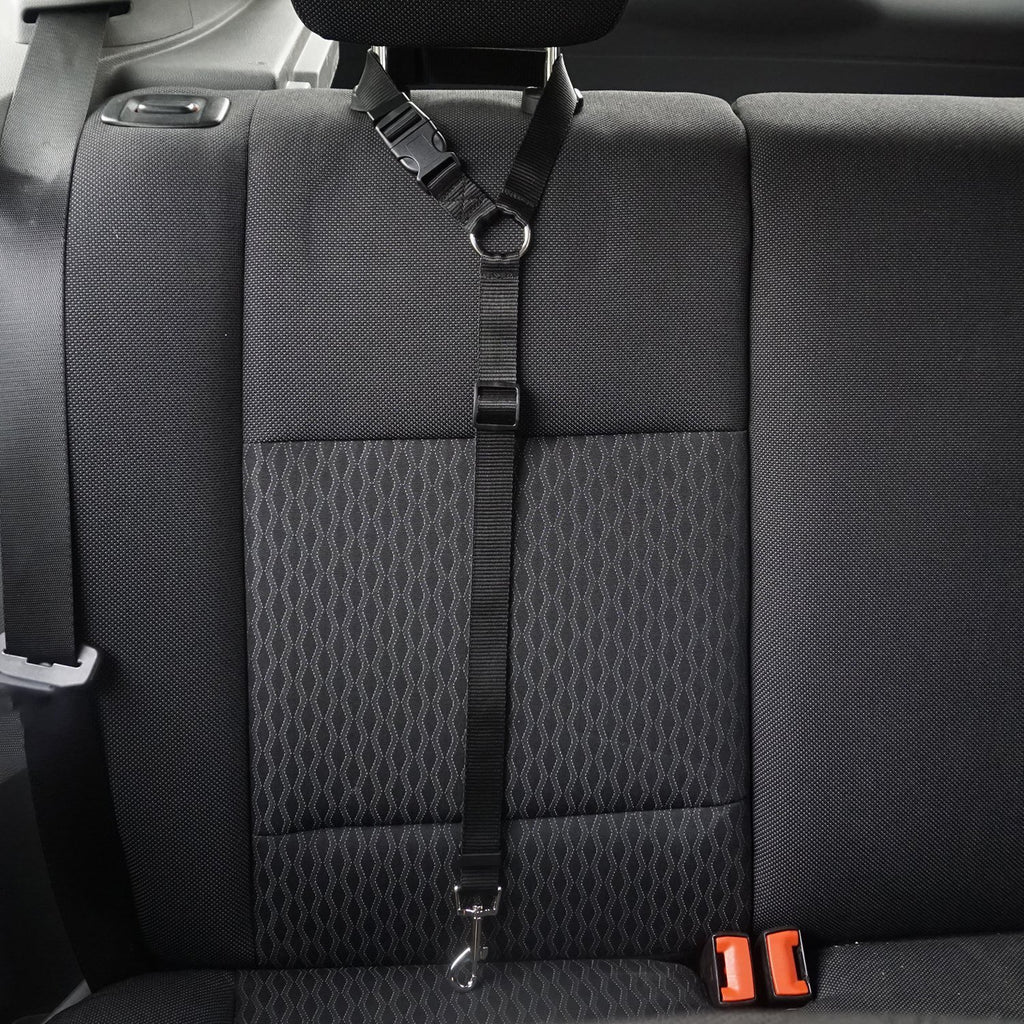 Nylon Pet Safety Leash