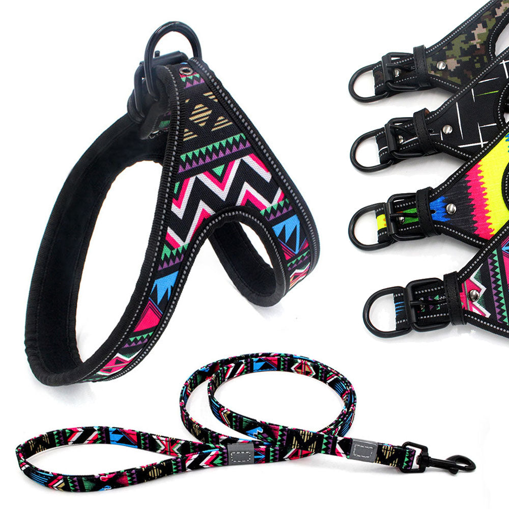 Colorful Dog Walking Harness And Leash