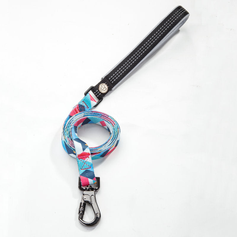 Polyester Dog Leash