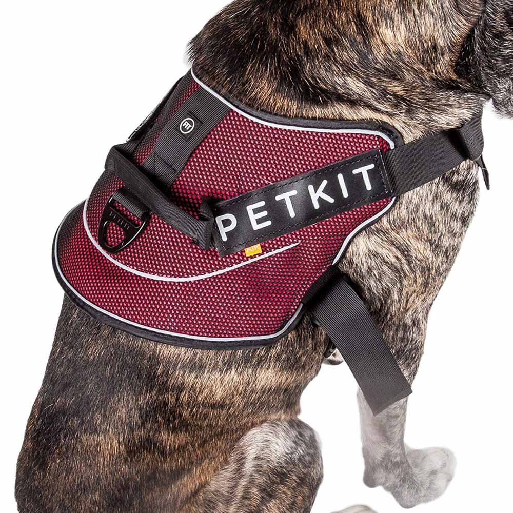 Pet Vest Chest Strap