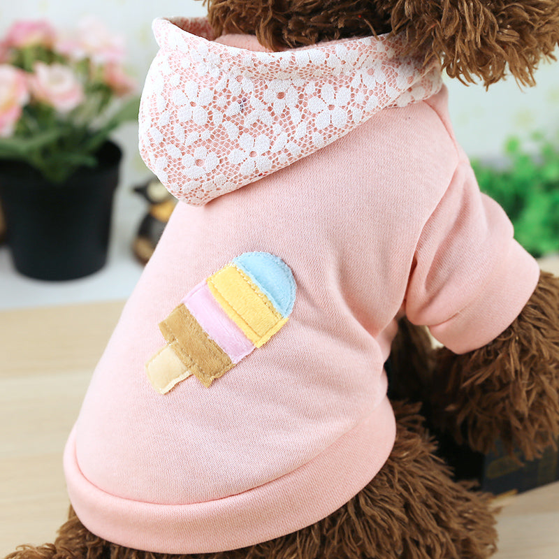 Teddy Clothes Plus Velvet Thick Hooded Sports Sweater