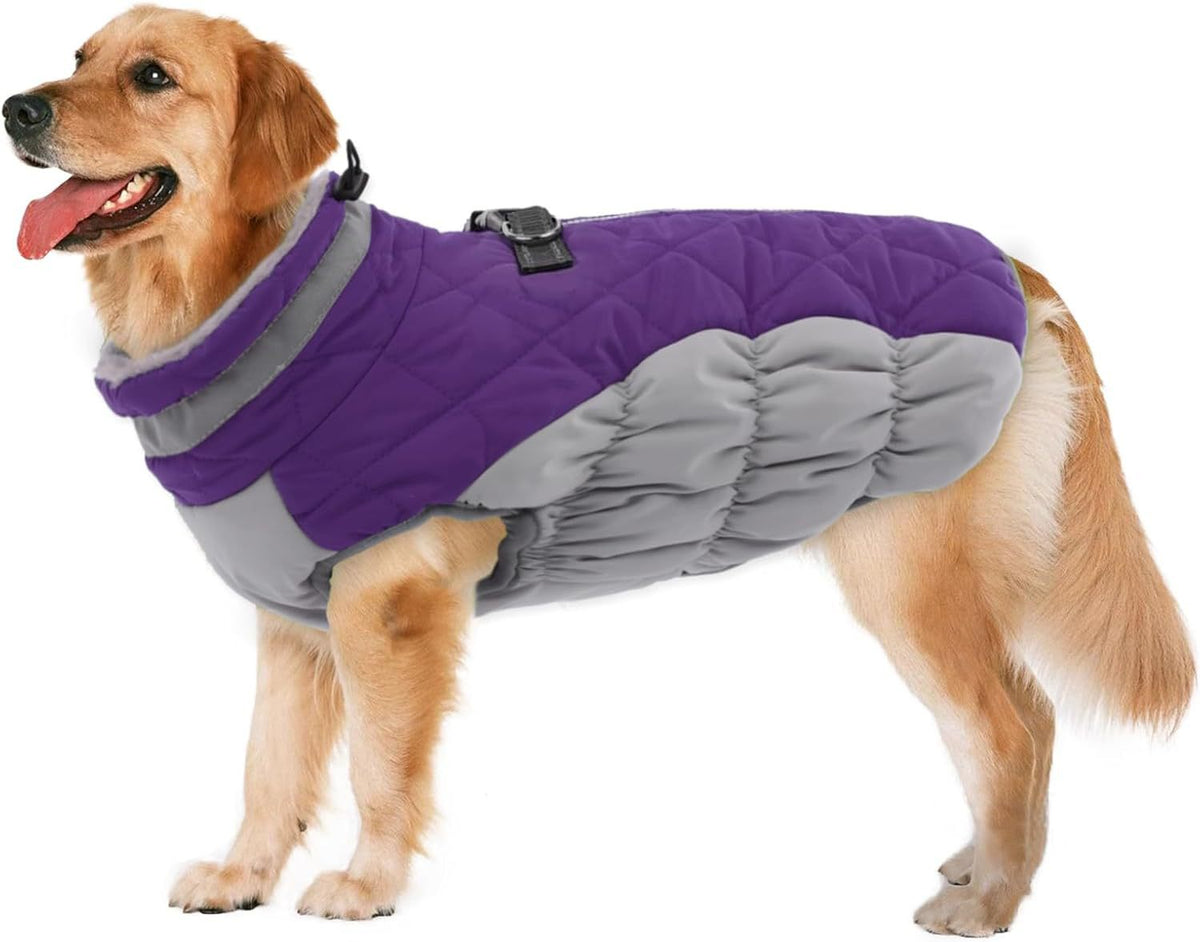 Warm Padded Winter Dog Coat
