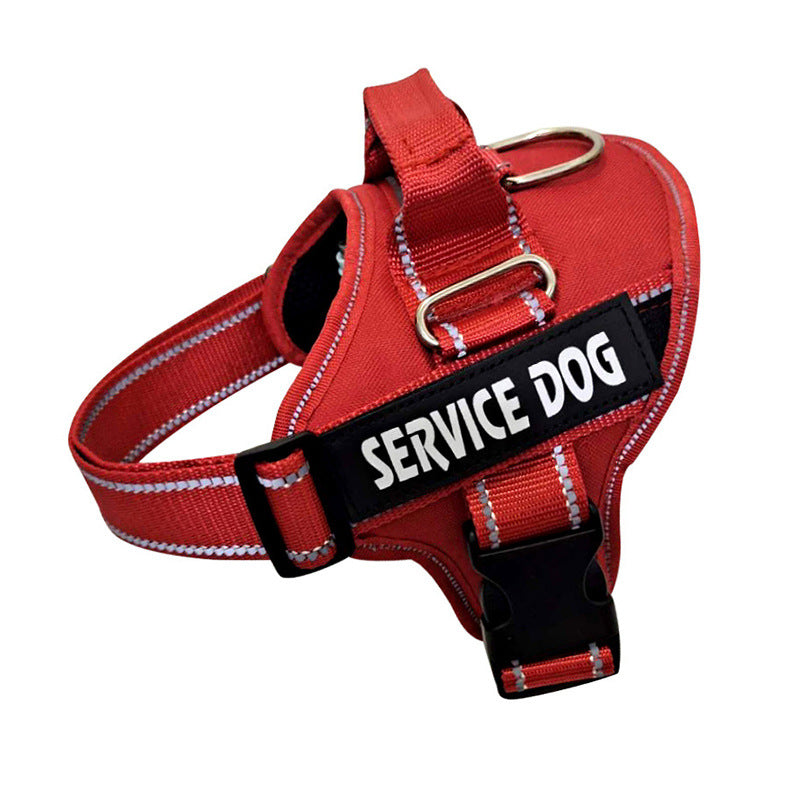 Personalized Pet Chest Strap
