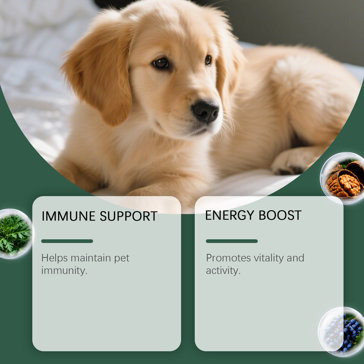Kriath Dog Intestinal Essential Oil Drops Gentle Formula For Comfort And Care Of The Gastrointestinal Tract Oral Drops For Pets