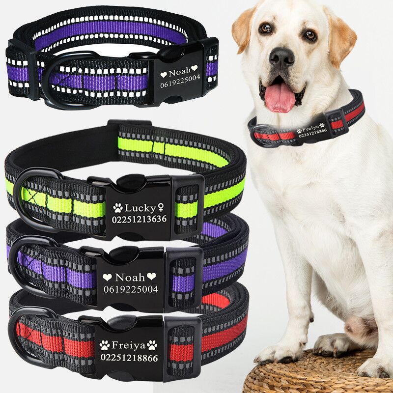 Custom Lettering Dog Collar