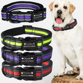Custom Lettering Dog Collar