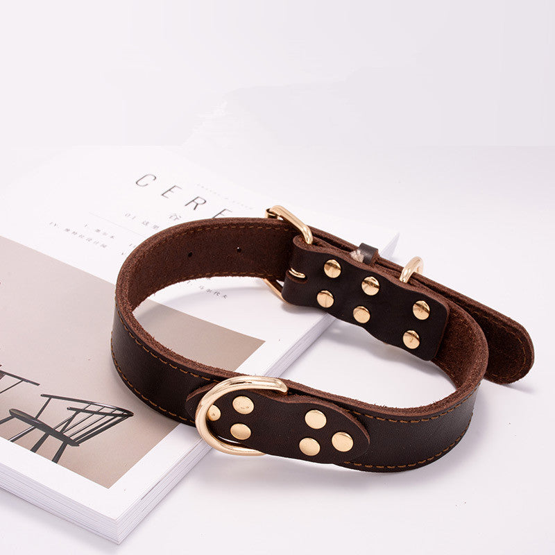 Dog Collar In Three Sizes