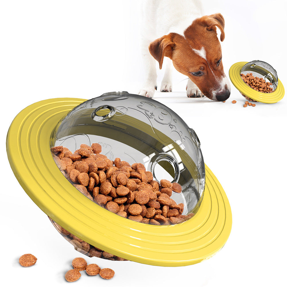 Educational Leak-Feeding Pet Toy