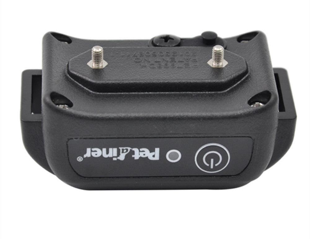 Remote Dog Training Device