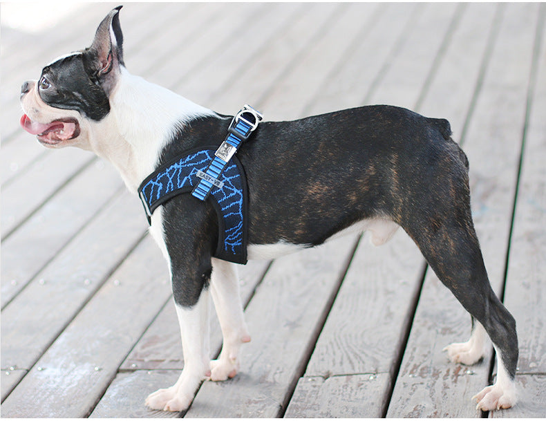 Pet Chest Harness And Leash