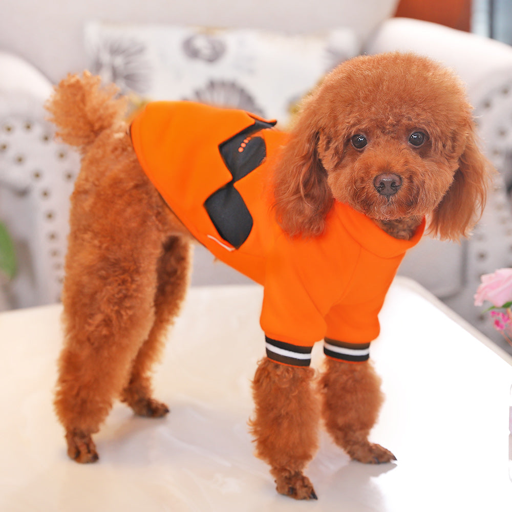 Halloween Pumpkin Dog Sweater Costume