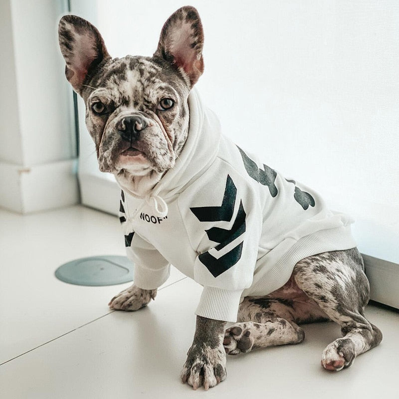 Winter Dog Jacket With Hood