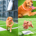 The Dog Toy Is A Bite Resistant Artifact