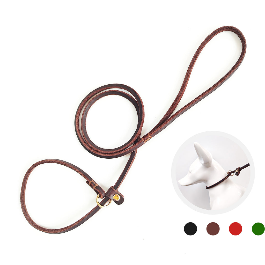 Genuine Leather Braided Cowhide Dog Leash