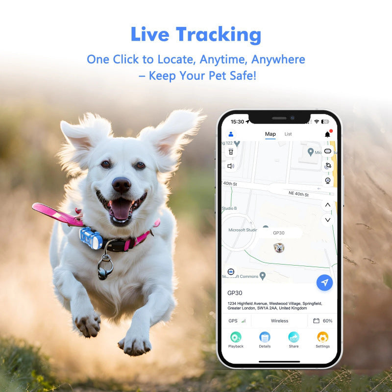 Pet Positioning Tracker Waterproof Real-Time Positioning