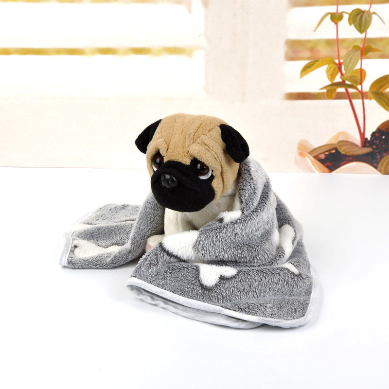 Pet Blanket Plus Velvet Thickening