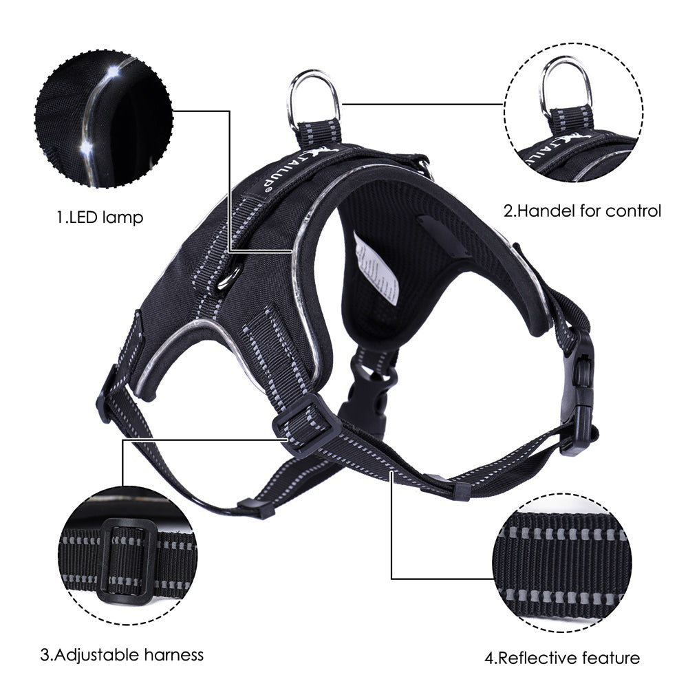 Glowing LED Dog Collar
