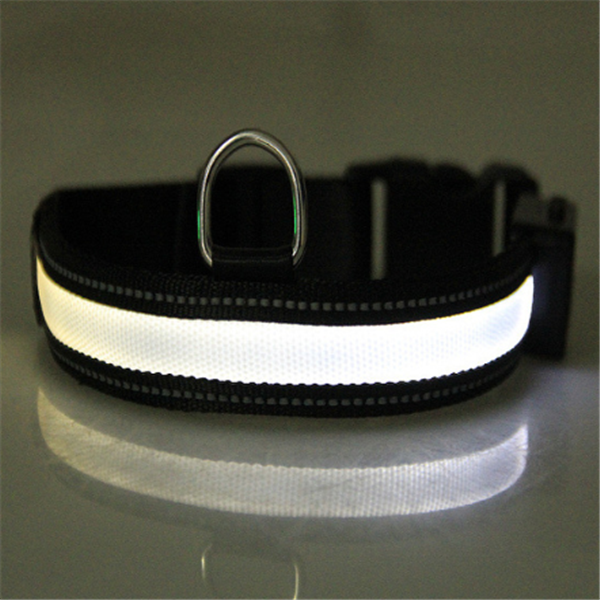 Solar Charging Fluorescent Dog Collar