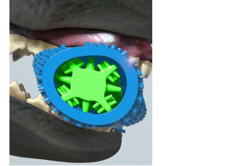 Silicone Dog Toothbrush