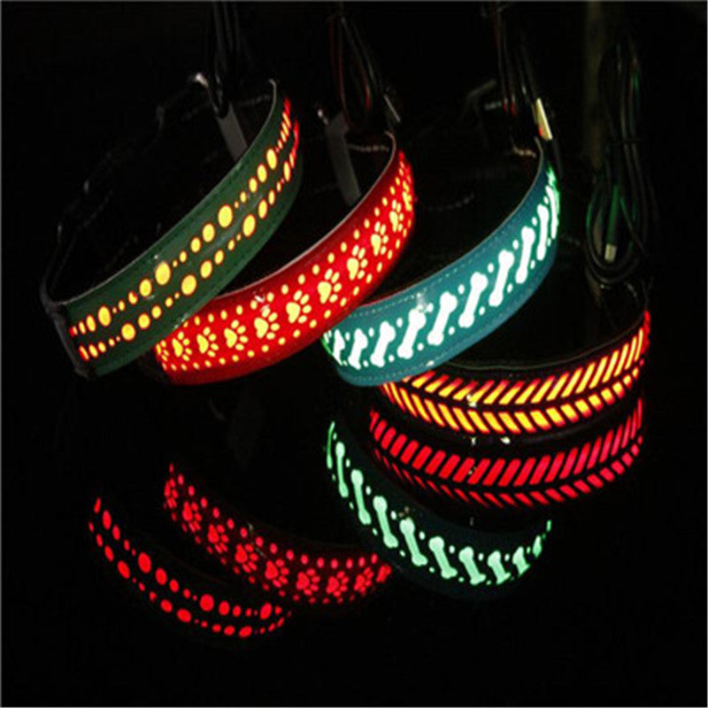 LED Light Dog Collar