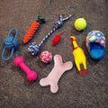 Vocal Dog Toy Set
