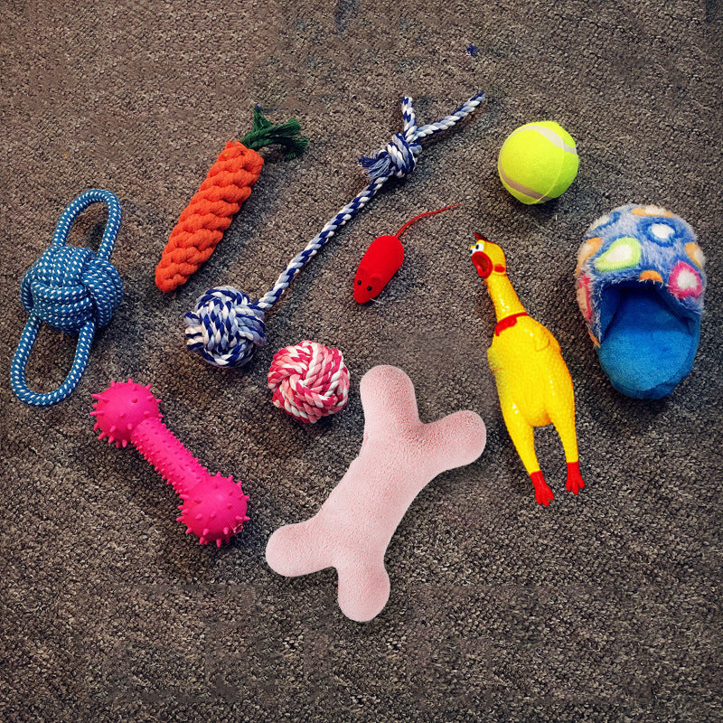 Vocal Dog Toy Set