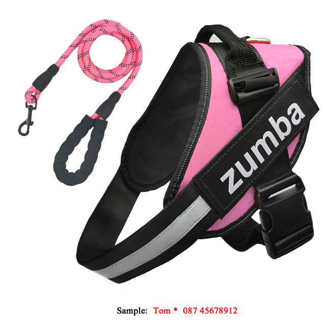 Personalized Reflective Adjustable Dog Harness And Leash Set