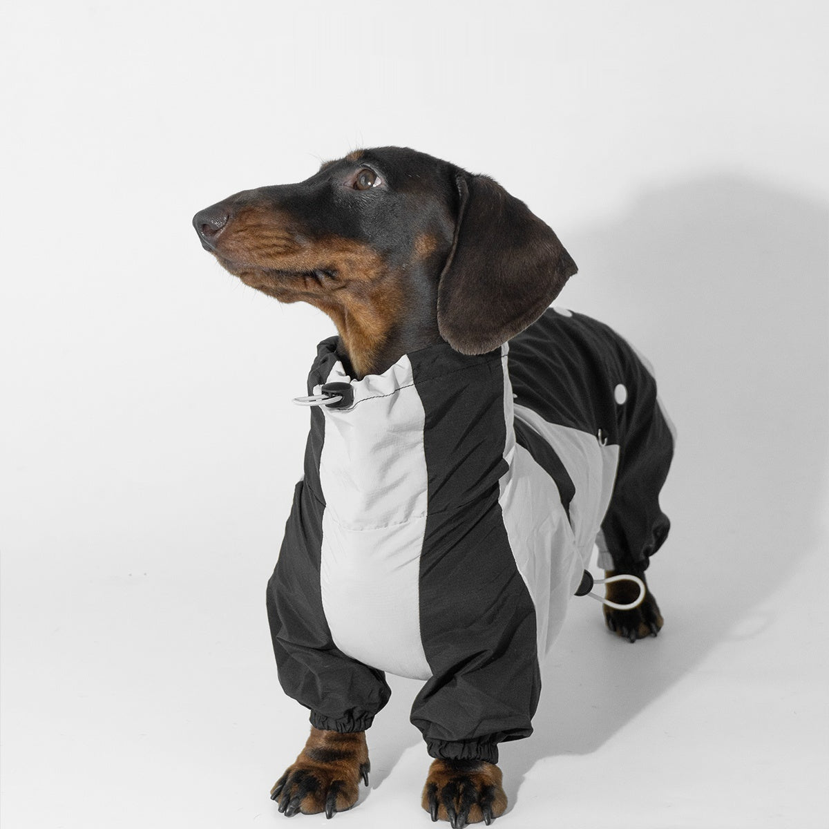 Winter Color Matching Pet Clothes