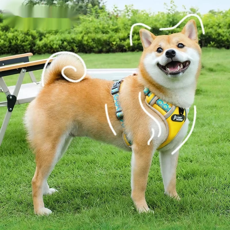Vest Style Pet Harness