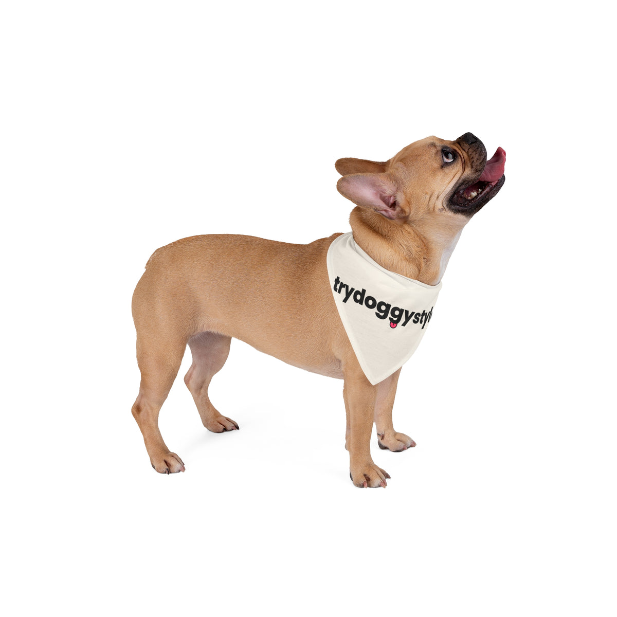 Doggystyle Dog Bandana
