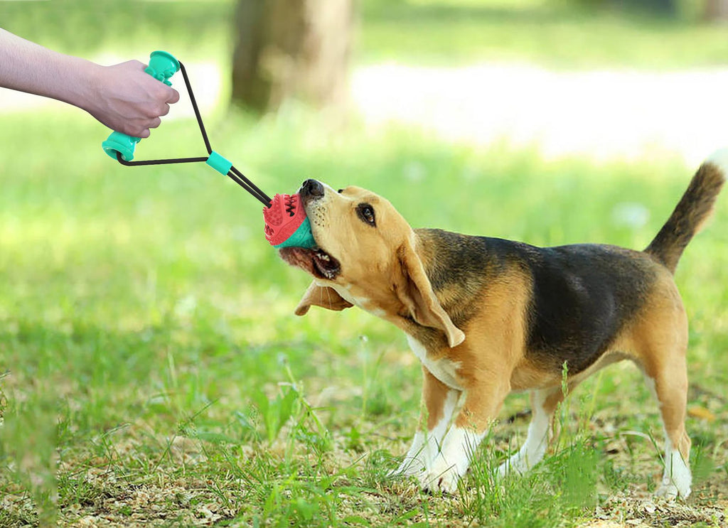 Pet Pull Rope Training Ball Toy