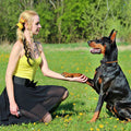 1Pc 984Ft Dog Training Collar Ip65 Waterproof Pet Beep Vibration Electric Shock Collar 3 Channels Rechargeable Transmitter Receiver Trainer