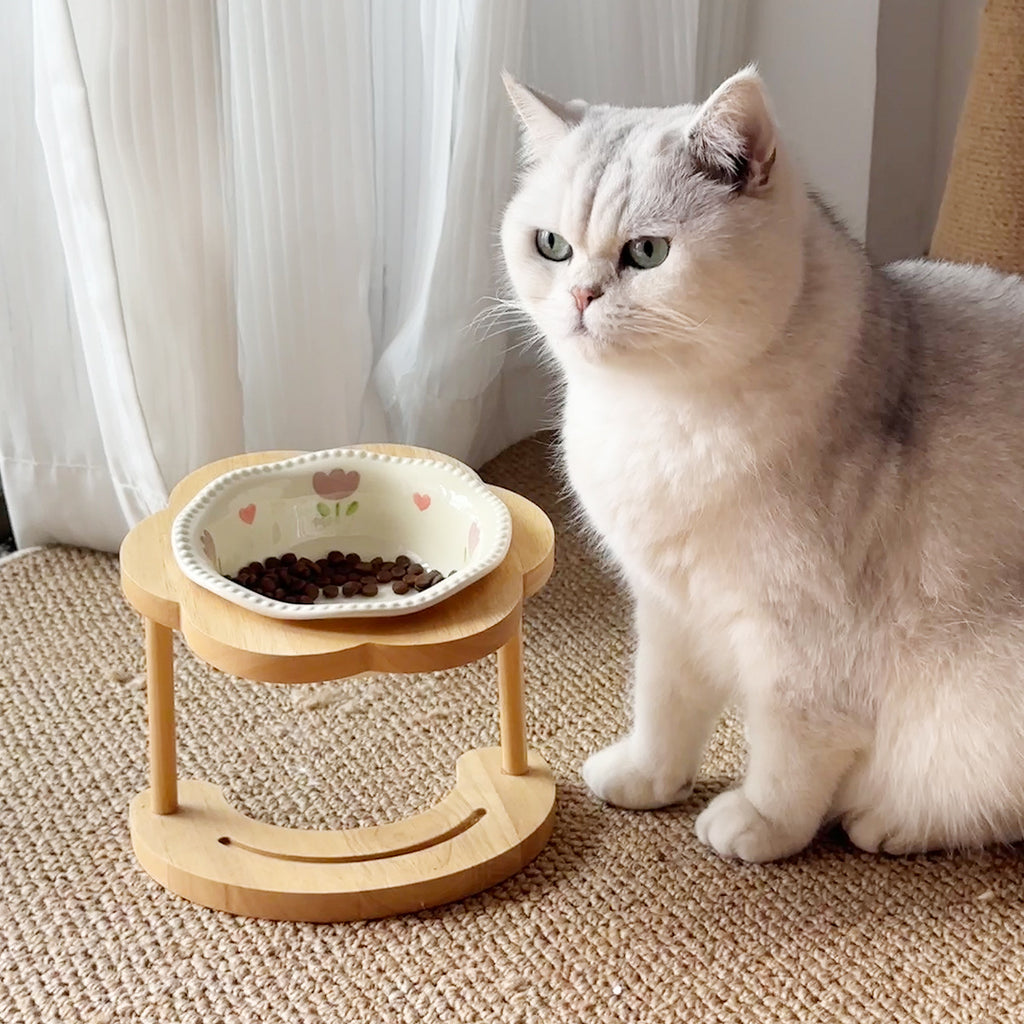 Tip-Resistant Ceramic Elevated Pet Bowl with Stand