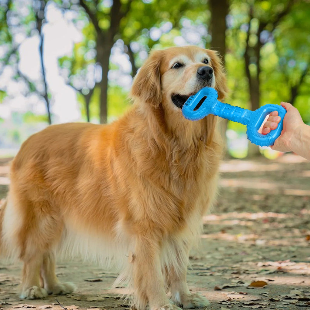 Aggressive Chewer Dog Bones With Pull Band