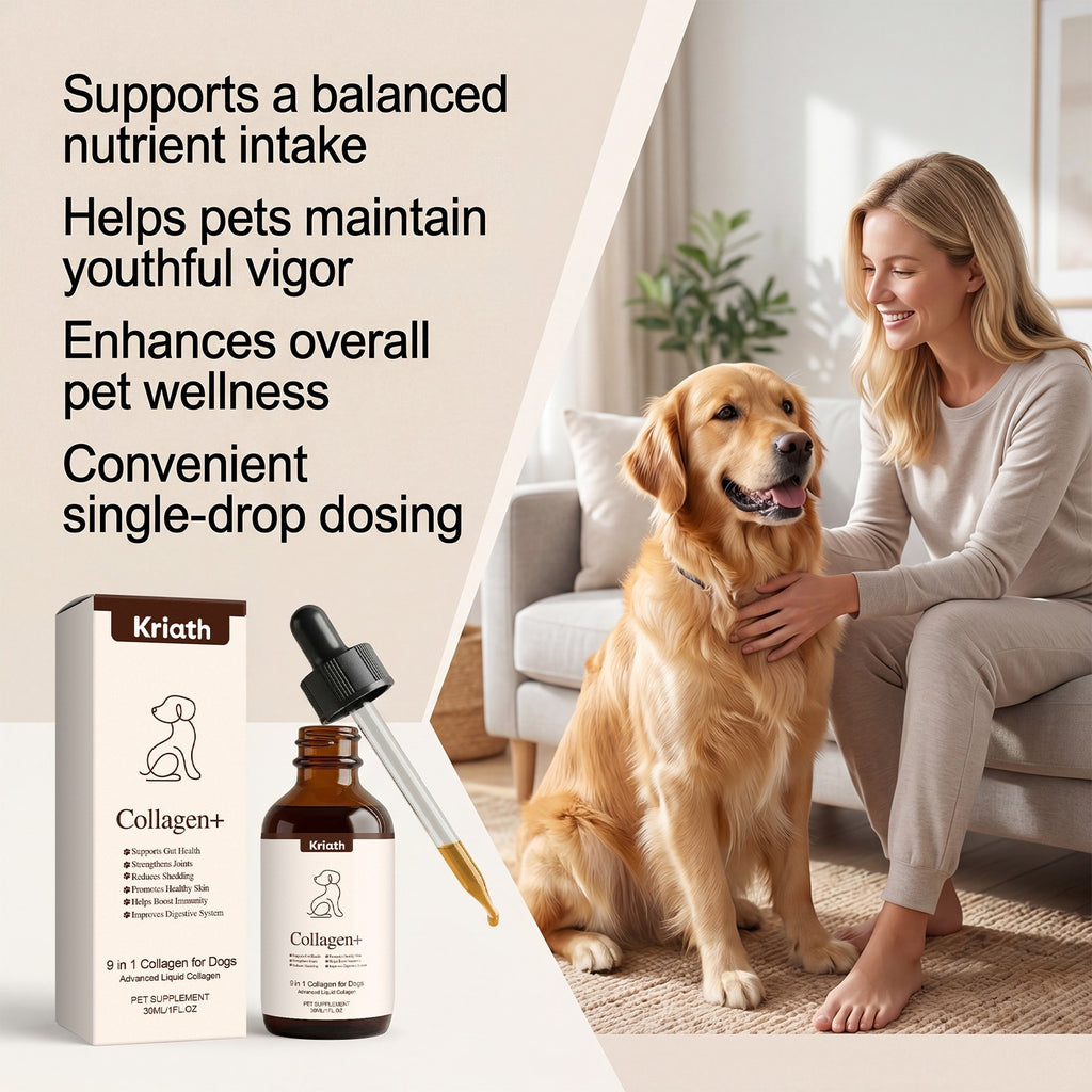 Dog Collagen Drops For Gentle Care And Comfort