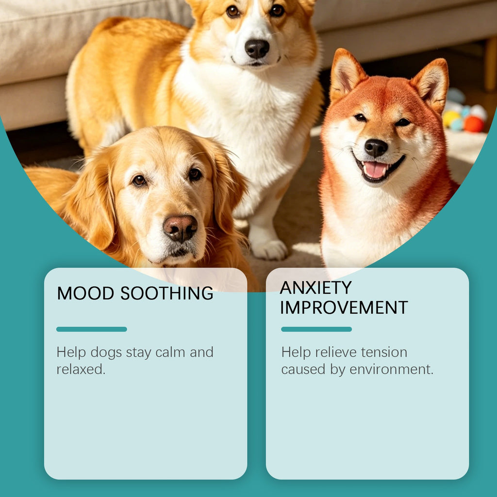 Daily Care Dog Nutrition Balance Chewable Tablets