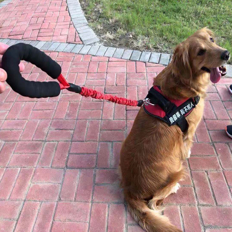 Dog Explosion-Proof Okinawa Leash Elastic Retractable