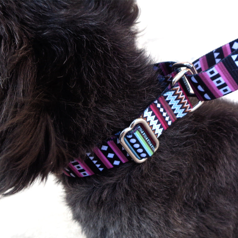 Cushioned Lazy Dog Walking Collar