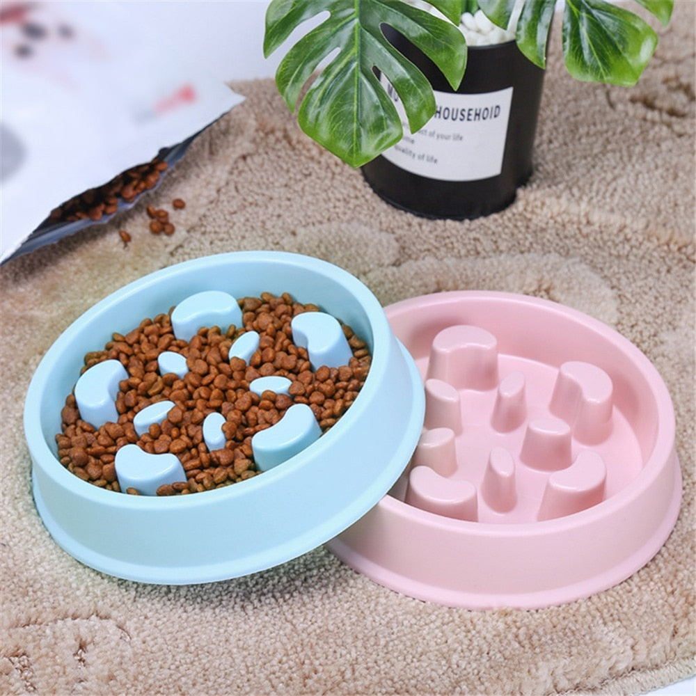 Anti Choking Slow Feeding Pet Bowl