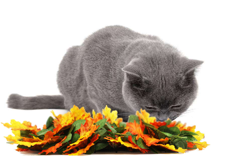 Washable Jungle Pet Sniffing Mat